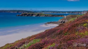 PRESQU'ILE de crozon La lande fleurie Plage du Poul Crozon en Finistère Bretagne Photo By Tranchig 015