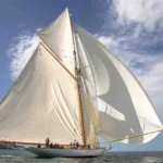 Voile 23.08.23.classic Race. 786 Fb 1 Lwsoptimized 150x150