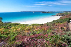 PRESQU'ILE de crozon Lande fleurie pointe du guern Plage du poul Crozon en finistère By tranchig bretagne024