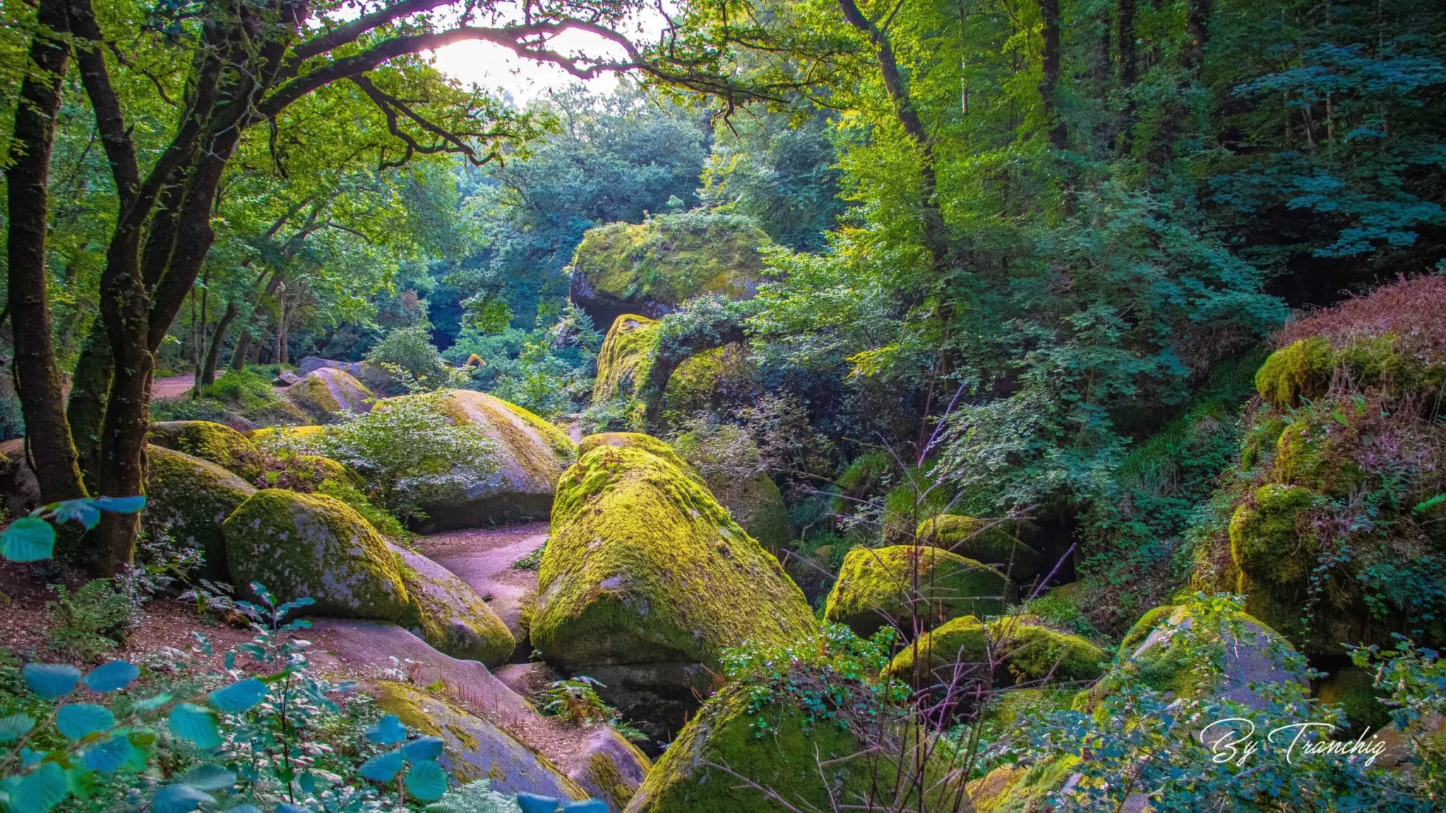 Huelgoat Bretagne Finistère By Tranchig
