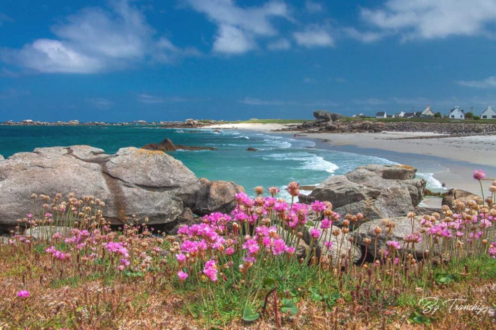 Kerlouan au printemps 2024 Finistère Bretagne By Tranchig 007