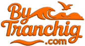 cropped logo orange fluo transparent.png